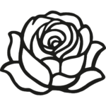 Subtil Beautist Еликсир за боядисана коса 50 мл 4 rose noire 150x150 1