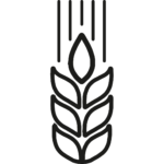 Subtil Beautist Шампоан за обем 950 мл 2 riz 150x150 1